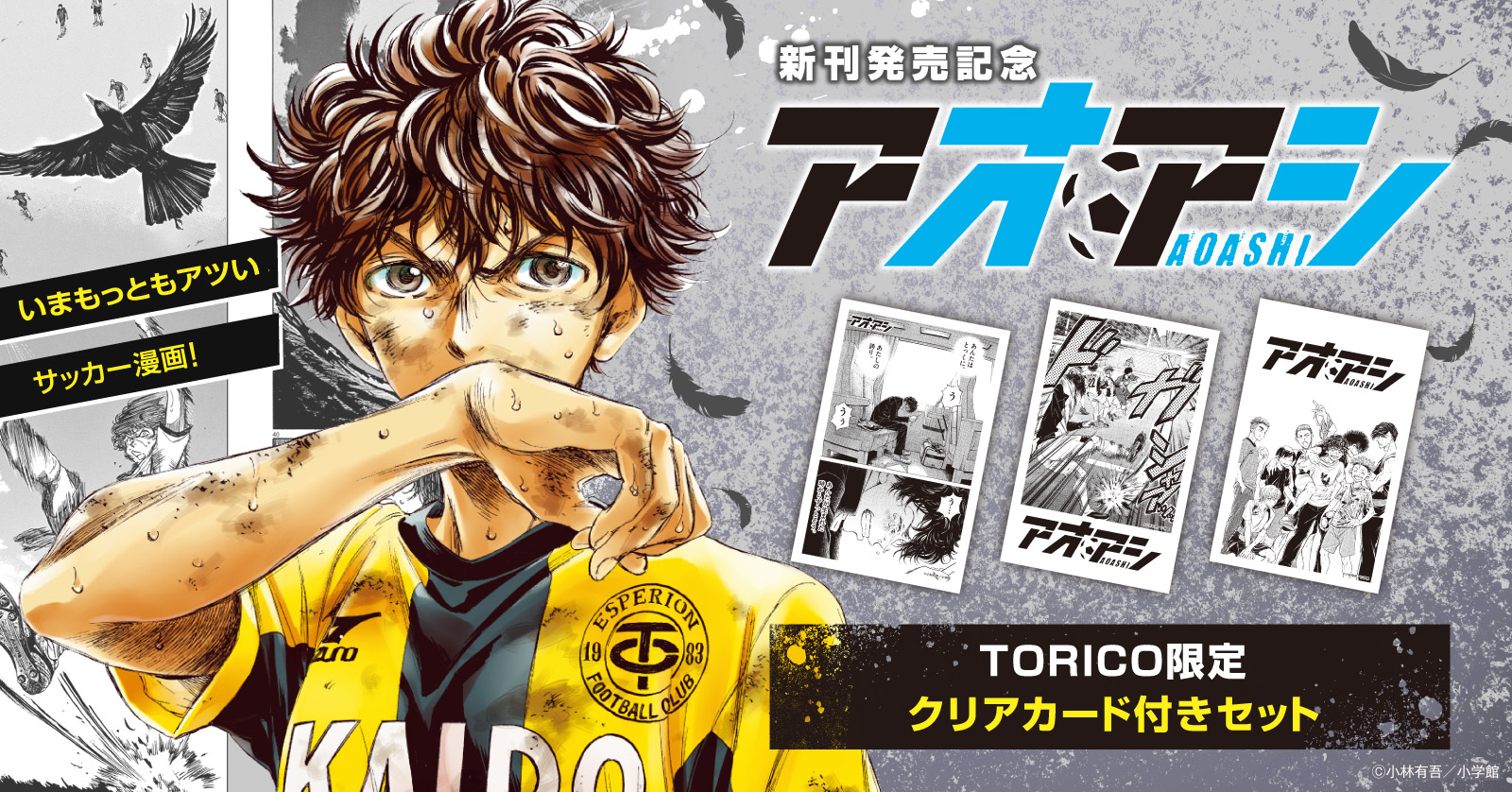 アオアシ ブラザーフット (1巻 最新刊) | 漫画全巻ドットコム