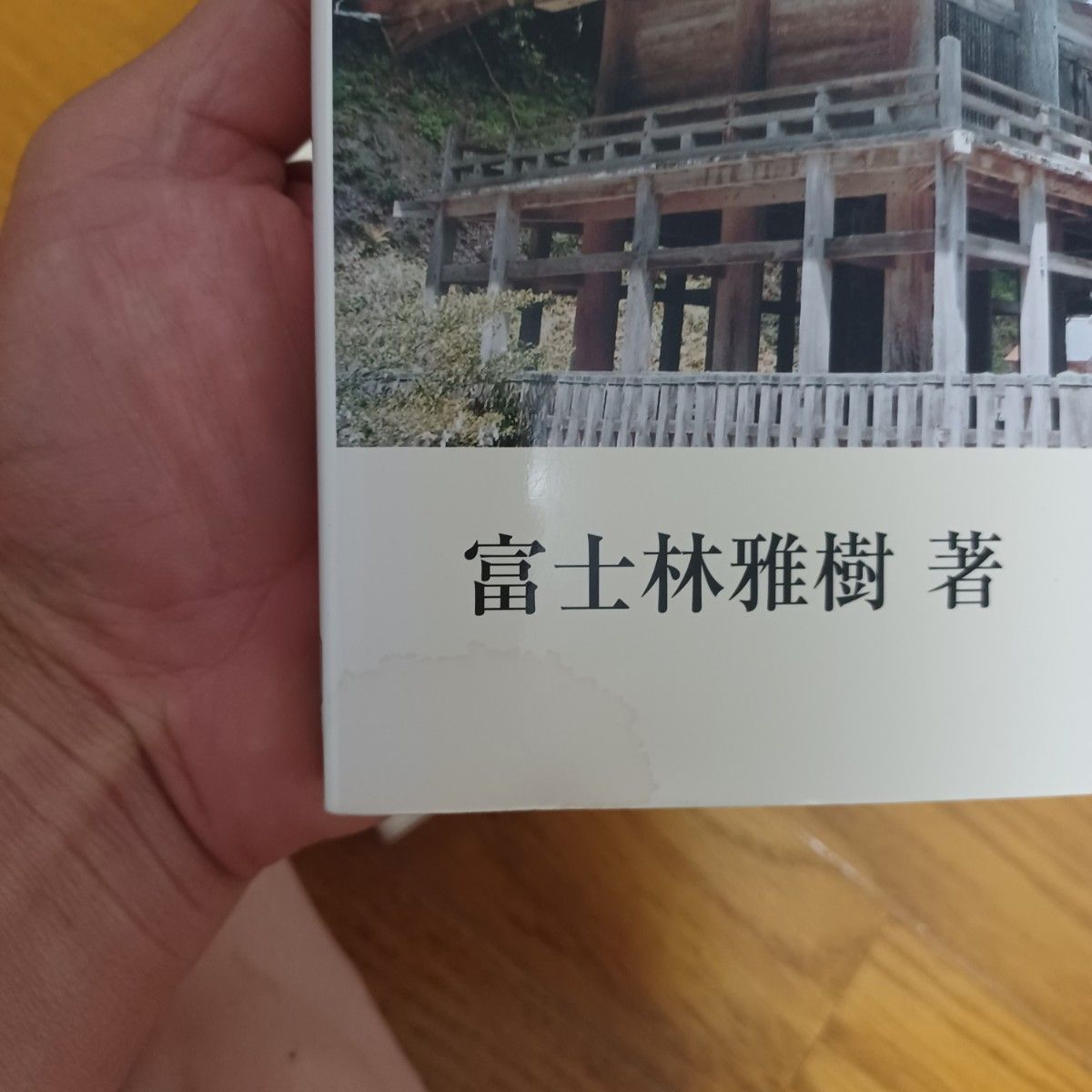 出雲王国とヤマト政権 富士林雅樹著 大元出版｜Yahoo!フリマ（旧PayPay